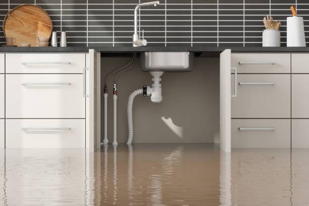 Trusted Water Damage Restoration in Mills River, NC | Fast, Reliable, and Ready to Assist You